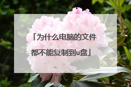 为什么电脑的文件都不能复制到u盘