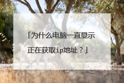 为什么电脑一直显示正在获取ip地址?