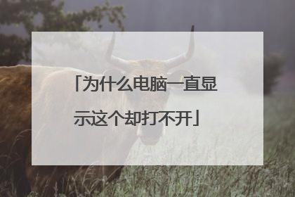 为什么电脑一直显示这个却打不开