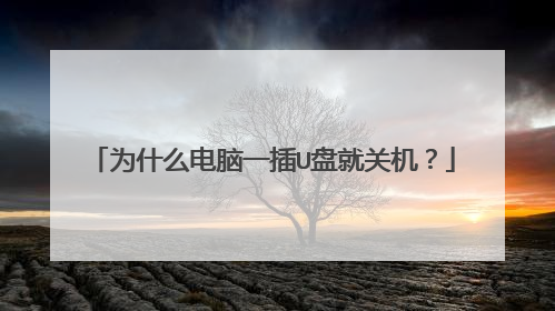 为什么电脑一插U盘就关机?