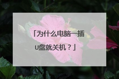 为什么电脑一插U盘就关机?