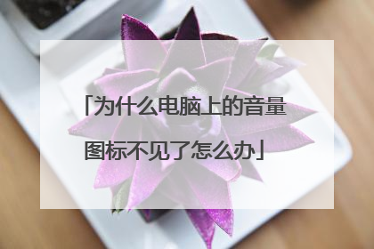为什么电脑上的音量图标不见了怎么办