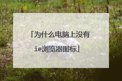 为什么电脑上没有ie浏览器图标