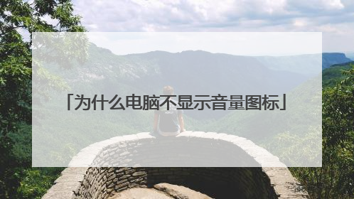 为什么电脑不显示音量图标