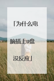 为什么电脑插上U盘没反应