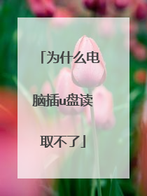 为什么电脑插u盘读取不了