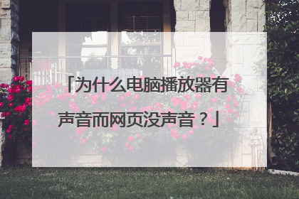 为什么电脑播放器有声音而网页没声音?