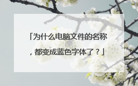 为什么电脑文件的名称,都变成蓝色字体了?