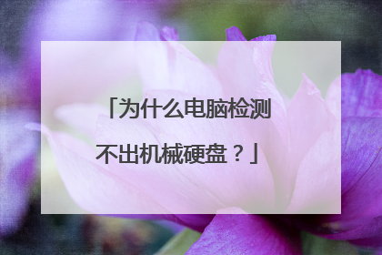 为什么电脑检测不出机械硬盘?