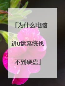 为什么电脑进U盘系统找不到硬盘