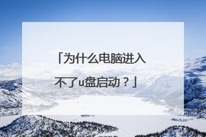 为什么电脑进入不了u盘启动?