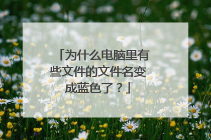 为什么电脑里有些文件的文件名变成蓝色了?