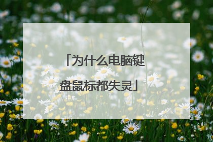 为什么电脑键盘鼠标都失灵