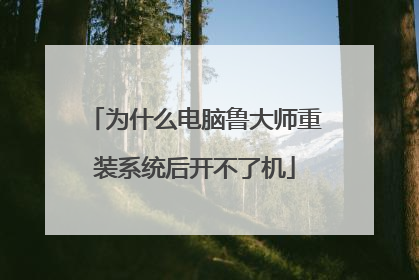 为什么电脑鲁大师重装系统后开不了机