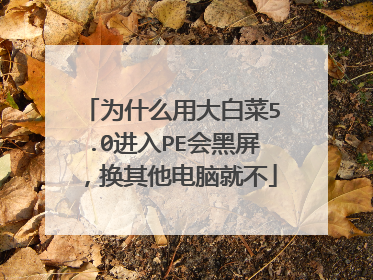 为什么用大白菜5.0进入PE会黑屏,换其他电脑就不