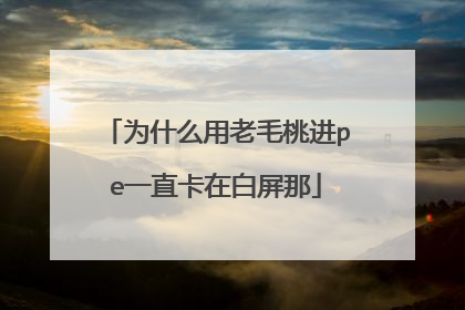 为什么用老毛桃进pe一直卡在白屏那