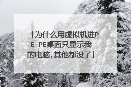 为什么用虚拟机进PE PE桌面只显示我的电脑,其他都没了