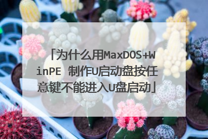 为什么用MaxDOS+WinPE 制作U启动盘按任意键不能进入U盘启动
