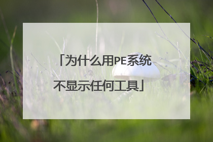 为什么用PE系统不显示任何工具