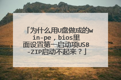 为什么用U盘做成的win-pe,bios里面设置第一启动项USB-ZIP启动不起来?