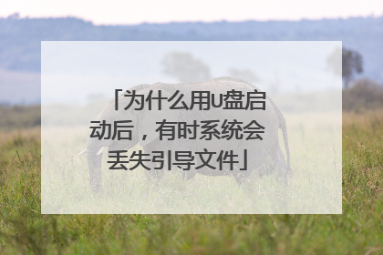 为什么用U盘启动后,有时系统会丢失引导文件