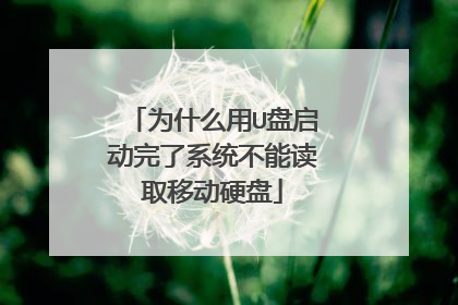 为什么用U盘启动完了系统不能读取移动硬盘