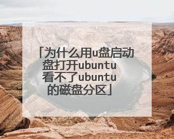 为什么用u盘启动盘打开ubuntu看不了ubuntu的磁盘分区