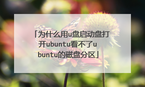 为什么用u盘启动盘打开ubuntu看不了ubuntu的磁盘分区