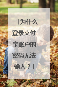 为什么登录支付宝账户的密码无法输入?