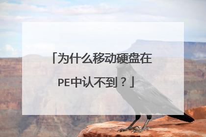 为什么移动硬盘在PE中认不到?
