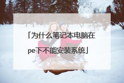 为什么笔记本电脑在pe下不能安装系统