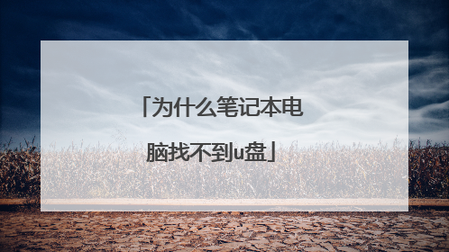 为什么笔记本电脑找不到u盘
