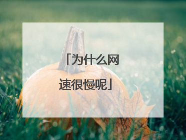 为什么网速很慢呢