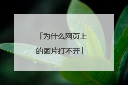 为什么网页上的图片打不开