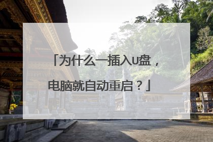 为什么一插入U盘,电脑就自动重启?