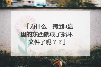 为什么一拷到u盘里的东西就成了损坏文件了呢??