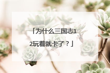 为什么三国志12玩着就卡了?