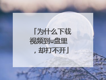 为什么下载视频到u盘里,却打不开
