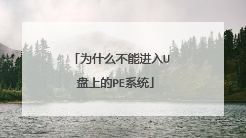 为什么不能进入U盘上的PE系统