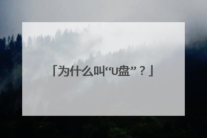 为什么叫“U盘”?