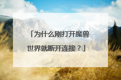 为什么刚打开魔兽世界就断开连接？