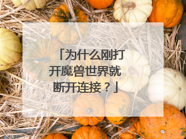 为什么刚打开魔兽世界就断开连接？