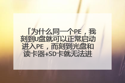 为什么同一个PE,我刻到U盘就可以正常启动进入PE,而刻到光盘和读卡器+SD卡就无法进入PE呢?求解!!!