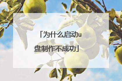 为什么启动u盘制作不成功
