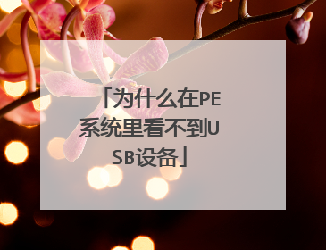 为什么在PE系统里看不到USB设备