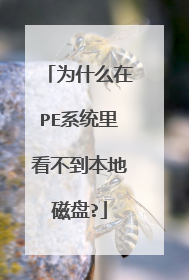 为什么在PE系统里看不到本地磁盘?