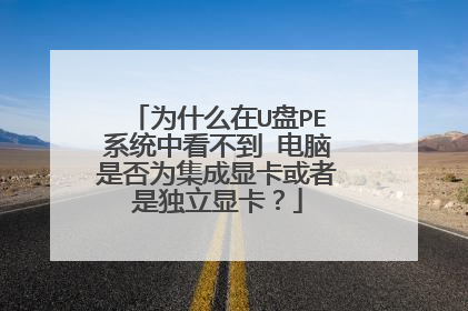为什么在U盘PE系统中看不到 电脑是否为集成显卡或者是独立显卡?