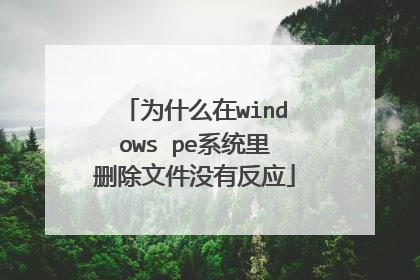 为什么在windows pe系统里删除文件没有反应