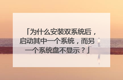 为什么安装双系统后,启动其中一个系统,而另一个系统盘不显示?