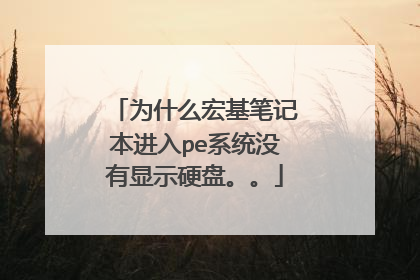 为什么宏基笔记本进入pe系统没有显示硬盘。。